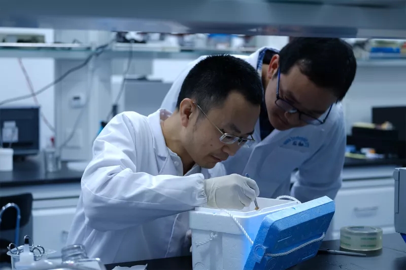 图为张勃与课题组成员在实验室.webp.jpg 图为张勃与课题组成员在实验室.webp.jpg