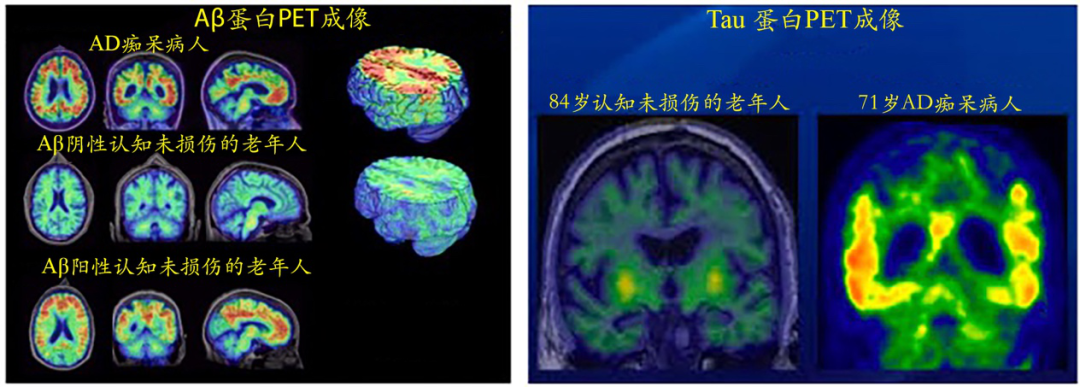 微信图片_20210202181428.png