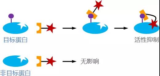 研究成果.jpg