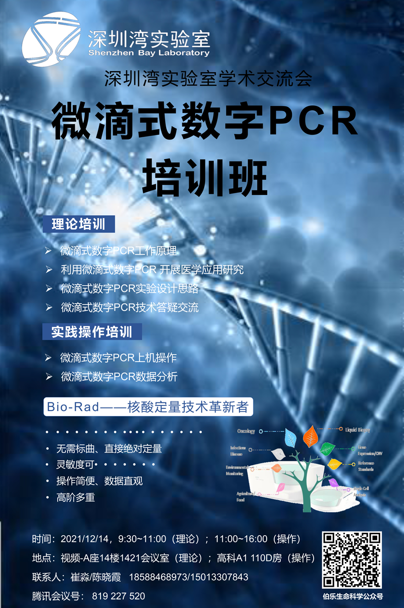 PCR.png