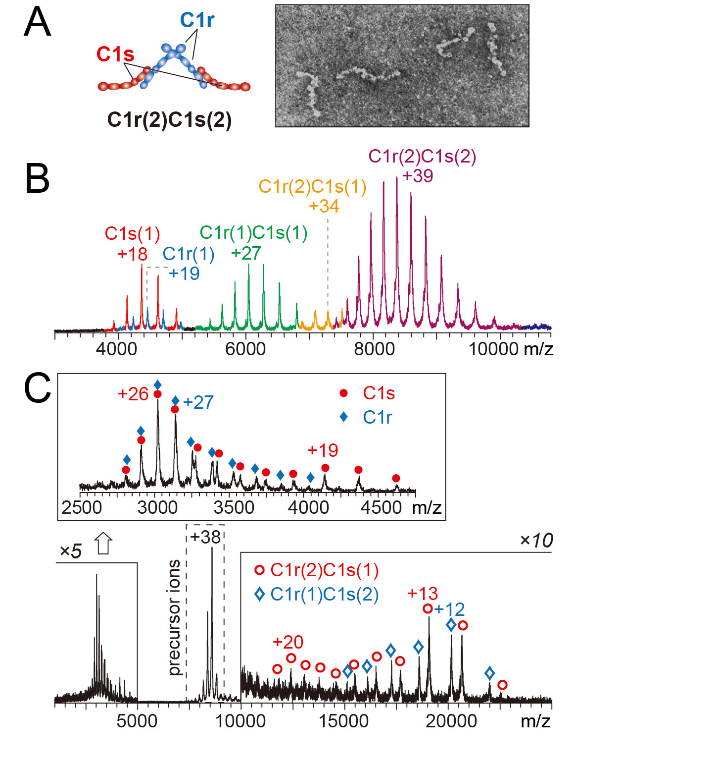 62ac1a63-1e19-4ef6-ab09-eac256ea8c48.jpg