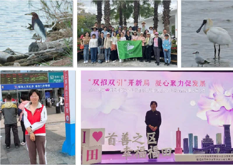 拼图1.png