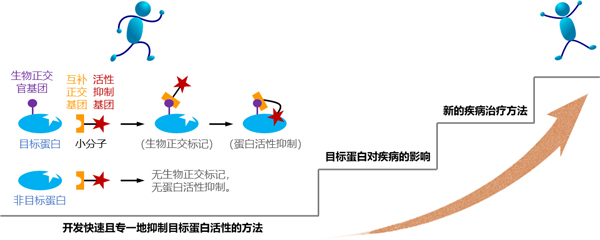 科研成果.jpg 科研成果.jpg