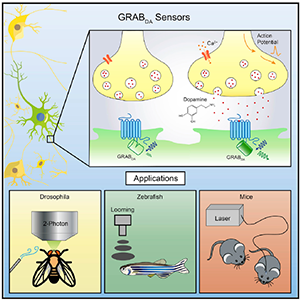 zengjianzhi12.png zengjianzhi12.png